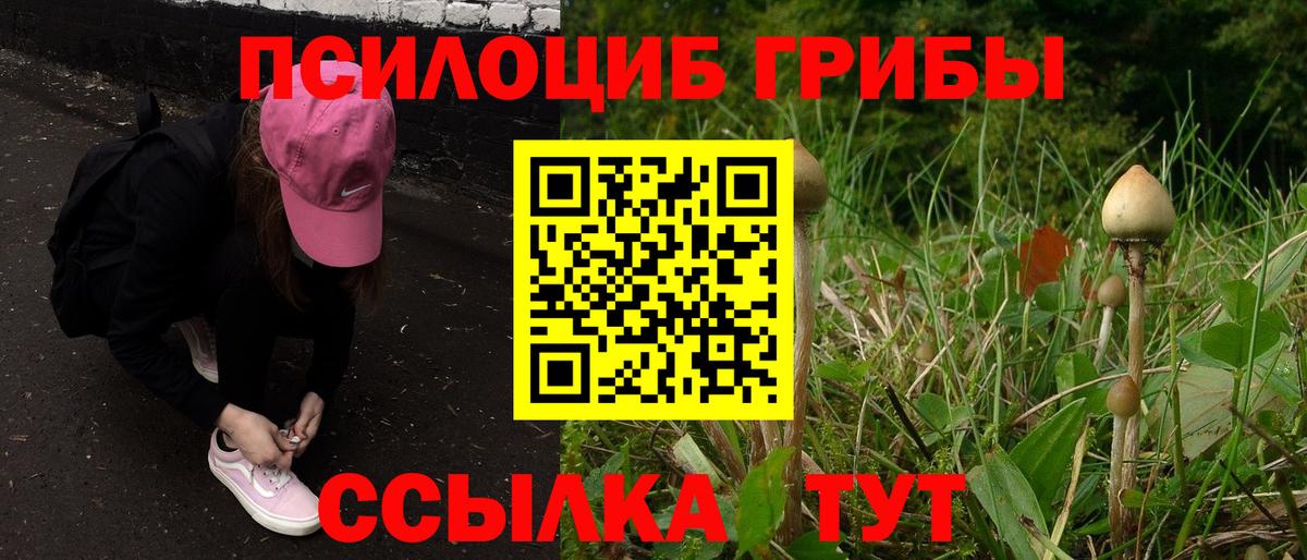 Галлюциногенные грибы GOLDEN TEACHER  Галлюциногенные грибы Psilocybine cubensis  Вход с VPN  Дубна 