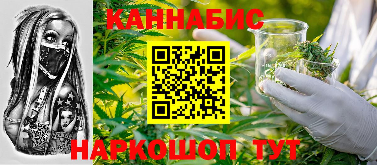 Шишки марихуана план Дубна